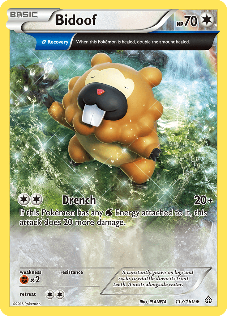 Bidoof xy5-117 Uncommon from Primal Clash Set