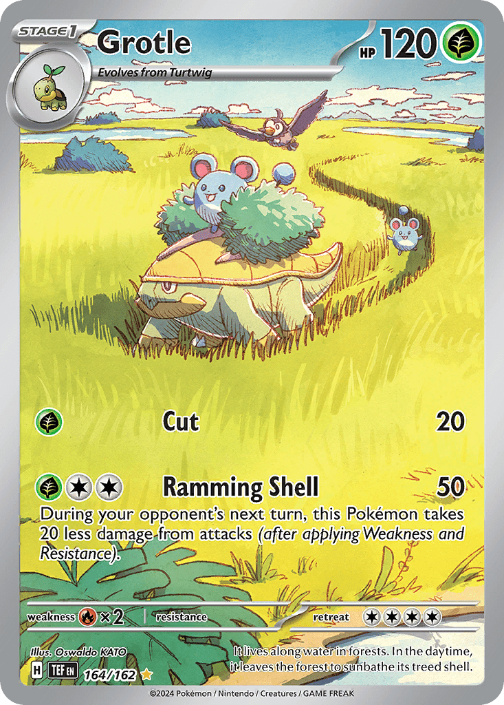 Grotle sv5-164 Illustration Rare from Temporal Forces Set