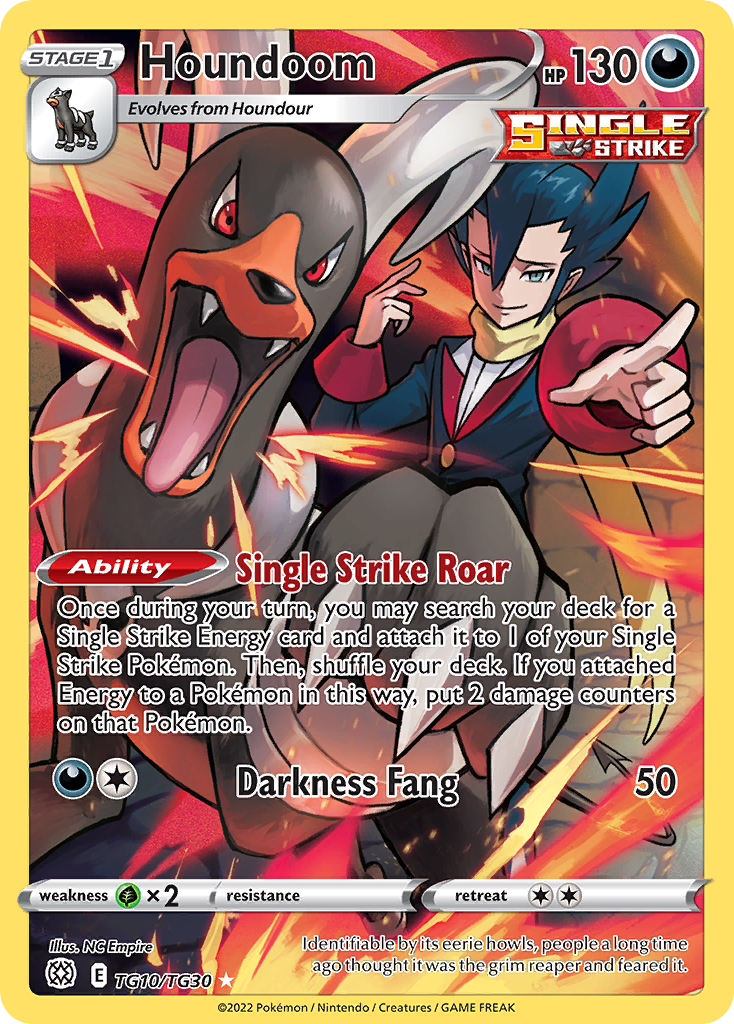 Houndoom swsh9tg-TG10 Trainer Gallery Rare Holo from Brilliant Stars Trainer Gallery Set
