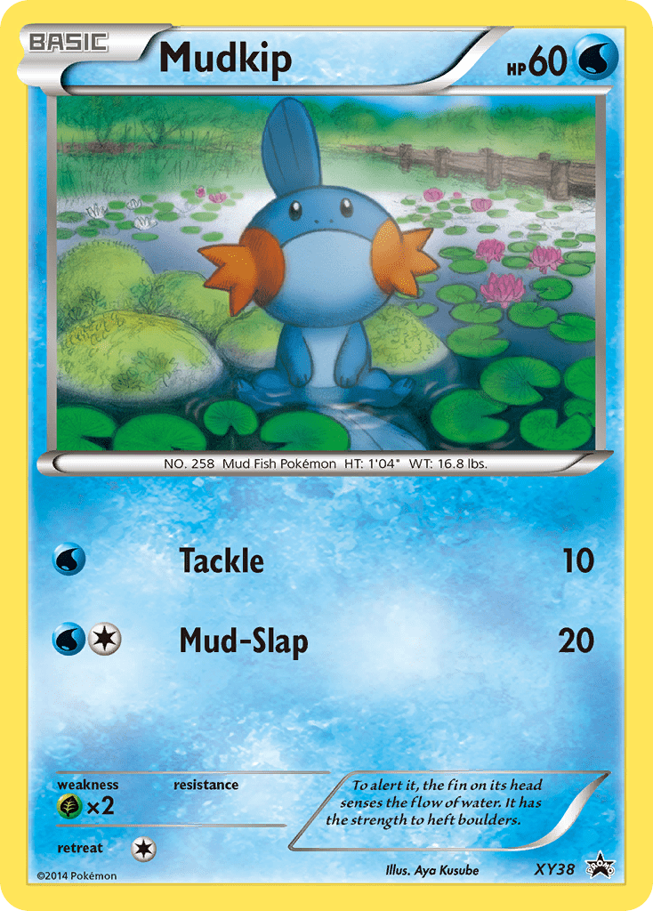 Mudkip xyp-XY38 Promo from XY Black Star Promos Set
