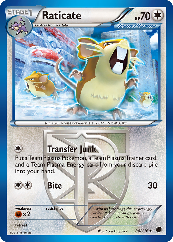 Raticate bw9-88 Rare from Plasma Freeze Set