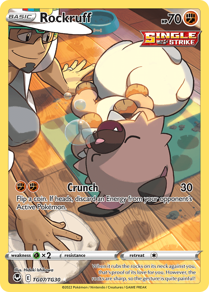 Rockruff swsh12tg-TG07 Trainer Gallery Rare Holo from Silver Tempest Trainer Gallery Set