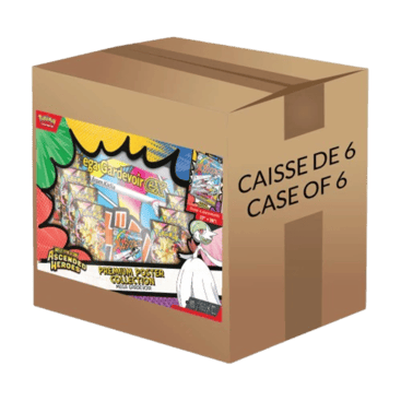 Ascended Heroes Premium Poster Collection Case