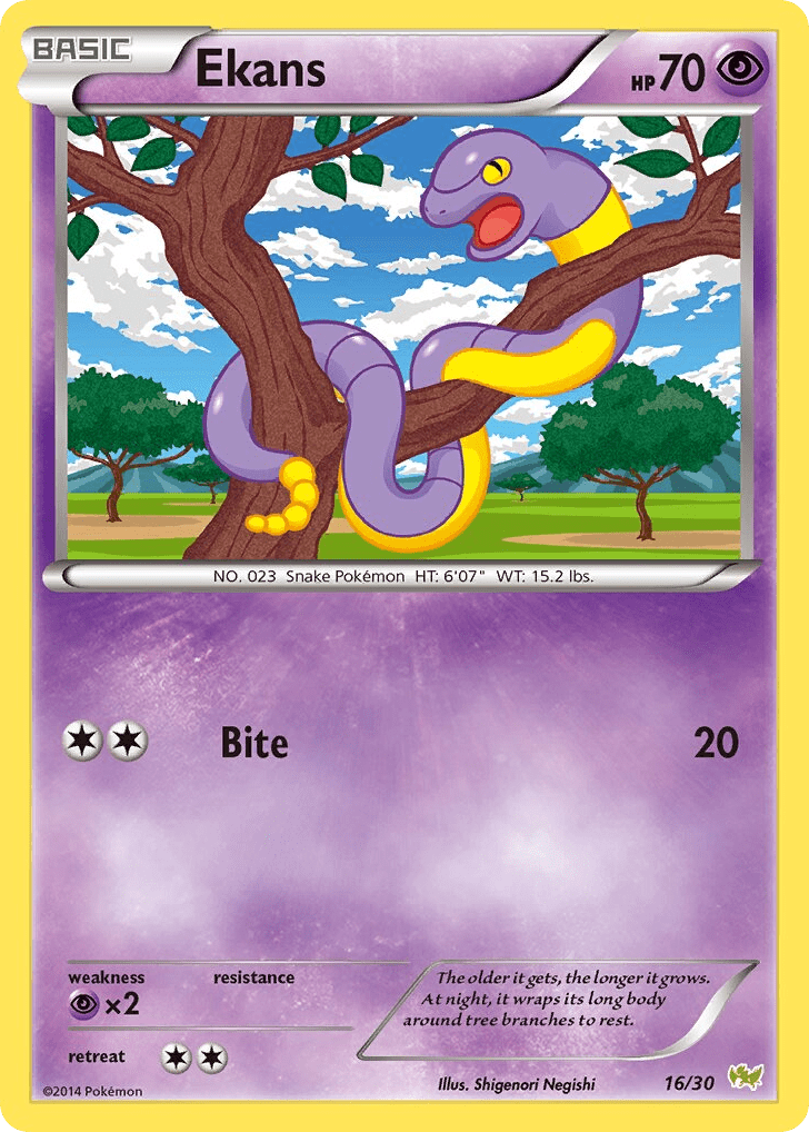 Ekans tk6b-16 Common from XY Trainer Kit Noivern Set