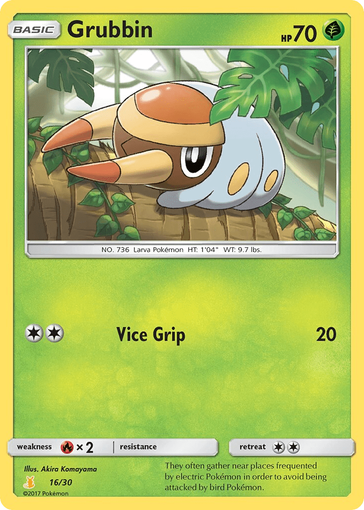 Grubbin tk10b-16 Common from SM Trainer Kit Alolan Raichu Set