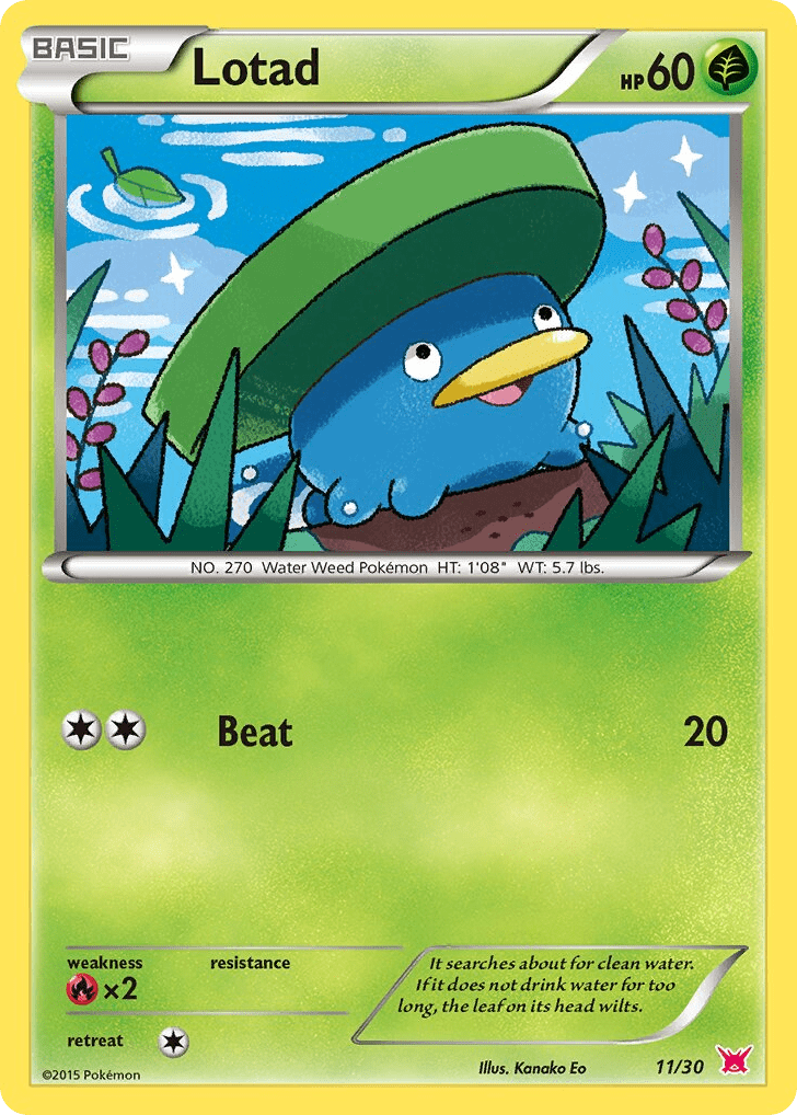 Lotad tk8b-11 Common from XY Trainer Kit Latias Set