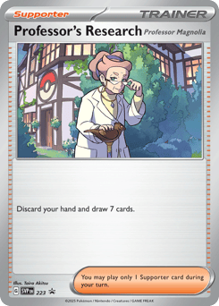 Professor’s Research
