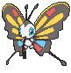 Beautifly