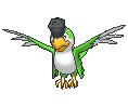 Squawkabilly