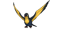 Kilowattrel